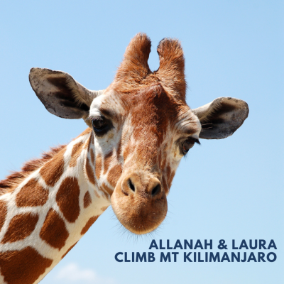 Kilimanjaro Adventure