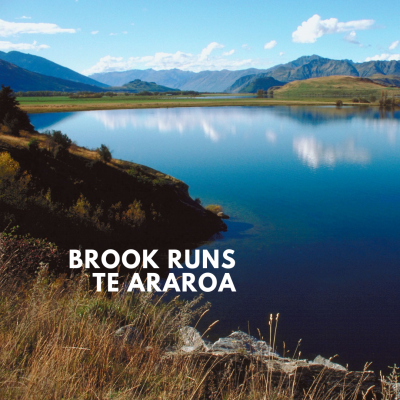 Brook RUNS Te-Araroa