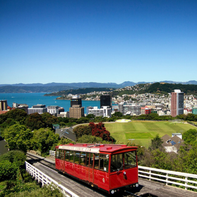 Wellington Marathon 2019