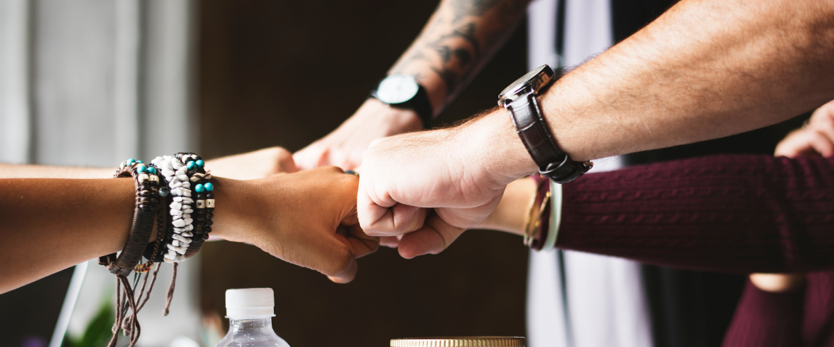 NZ Hike For Life-Te Araroa